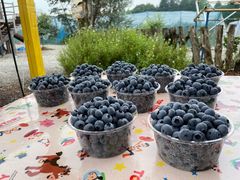 clarãu[x[t@[ق肤ւ̓eʐ^1