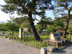 yosshy����̗��R�����ւ̓��e�ʐ^1