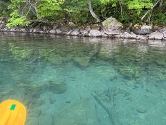 IVCPADDLE STREETւ̓eʐ^1