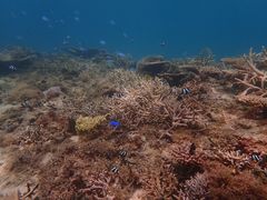 bmSALTY RAYSւ̓eʐ^2