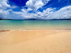 bmSALTY RAYSւ̓eʐ^3