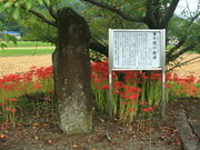 CCꃉC_[̘k{̓eʐ^4