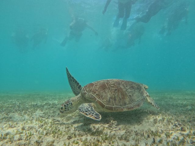 �E�~�K�������I�ǂ��v���o�ɂȂ�܂����I_OCEANZ - �I�[�V�����Y