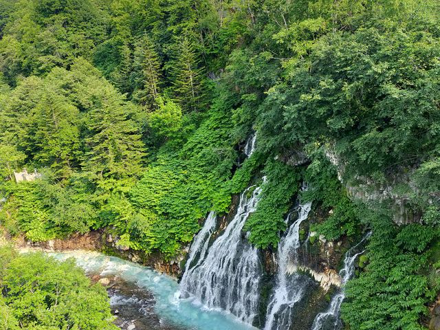 ���E�̑�_���Ђ��̑�