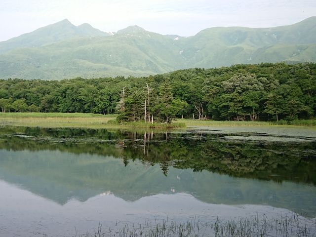 �m���܌�(���)_�I�z�[�c�N���R��