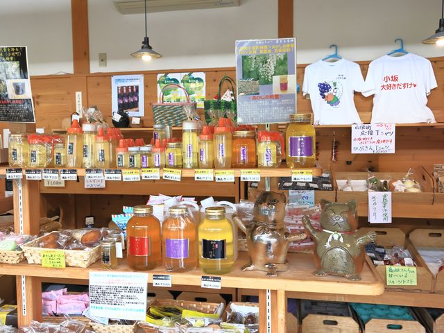 �����������ȃn�`�~�c_���̉w����������