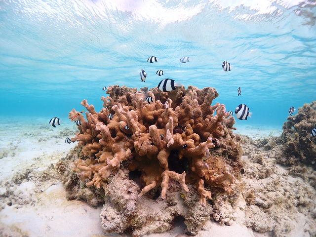 ���炵�������Ȃ�������������I_CHAMP TOUR �{�Ó�