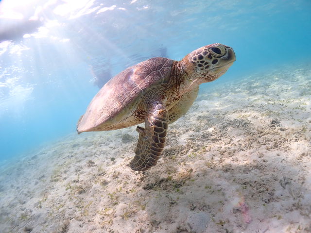 �E�~�K�����񂪖ڂ̑O�ɁI_CHAMP TOUR �{�Ó�