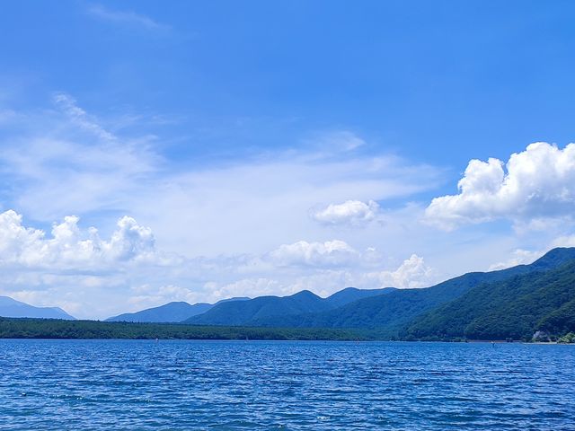 �x�m�R�͌����Ȃ����������i�F�ł����B_Naturally