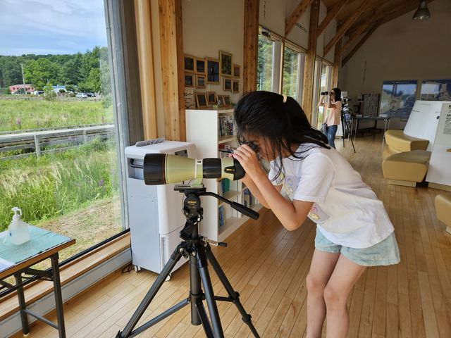 �����v���]����_������