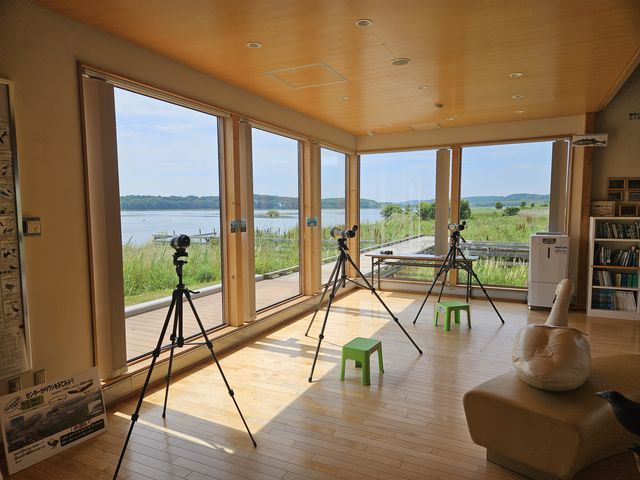 �����v���]����_������