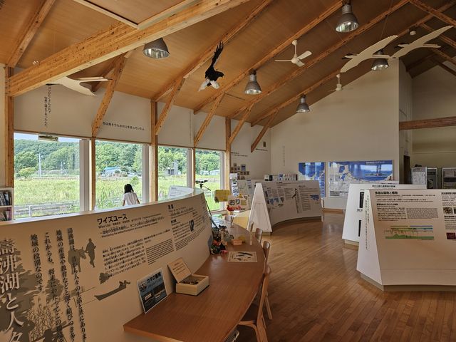 ������_������