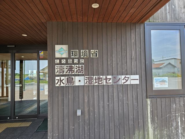 �O��_������