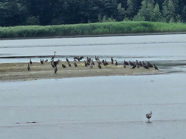 �쒹�������ς������_������