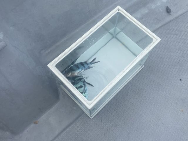 ���ł̋�������̂͗v���ӁI������Ȃ����Ⴄ�B_�炢�����