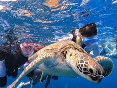 񂳂SHISHIΊ_ւ̓eʐ^1