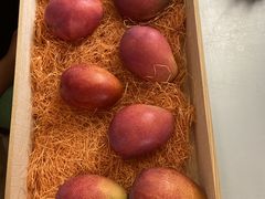 肳̃u[^[gt@[ Blue Turtle Farmւ̓eʐ^1