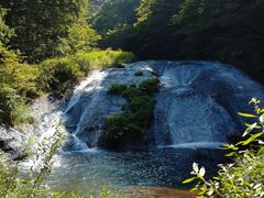 �A�L�I����̊����̑�ւ̓��e�ʐ^1