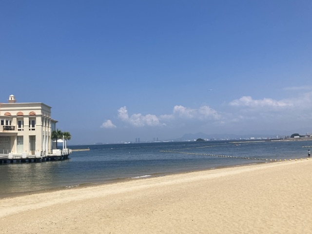 �V�[�T�C�h�������C�l����