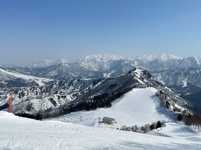 �Q�����f_�_���X�m�[���]�[�g