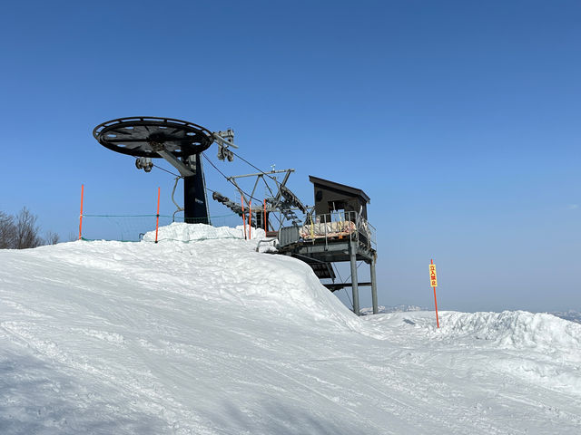 �Q�����f
_�_���X�m�[���]�[�g