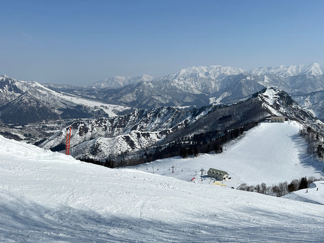 �Q�����f_�_���X�m�[���]�[�g