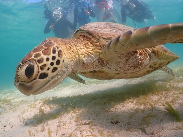 �E�~�K���Ƃ�������I_CHAMP TOUR �{�Ó�