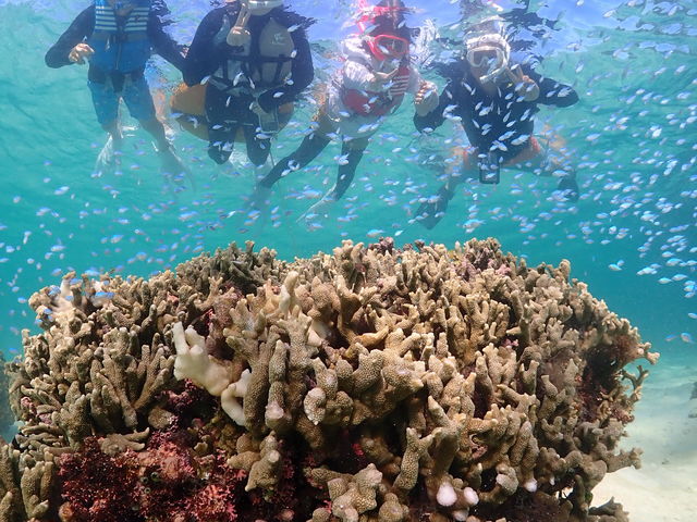 �t�������I_CHAMP TOUR �{�Ó�