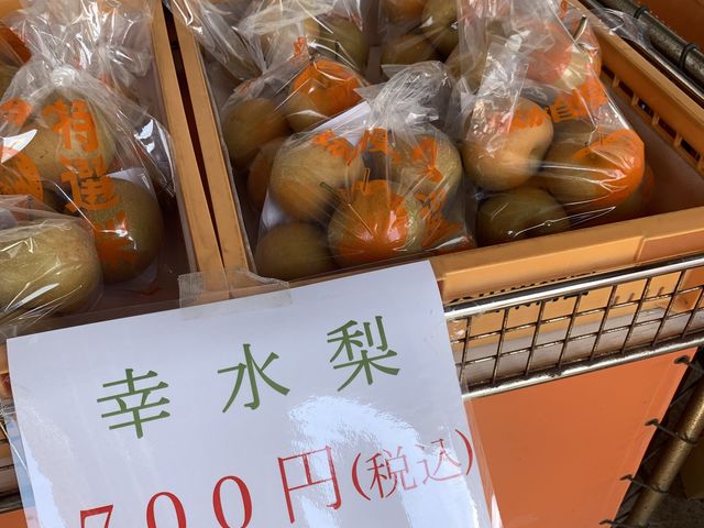 yYɓŔ傫ɂA\VOOA\WOOA\PTOOƗL܂BieUOj_cʎ