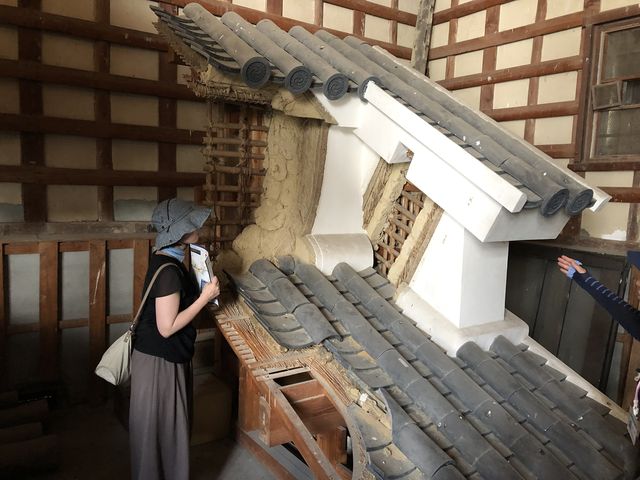 �����̍\��_���n�ό��r���[���[