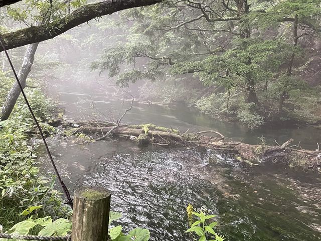 �����Đ�������Ȃ��炵��_�㍂�n�@�z�e��������