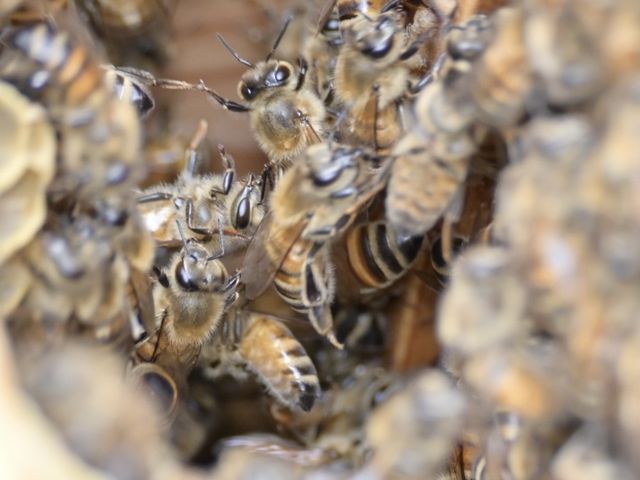 �\����킢���I_berich�{�I��