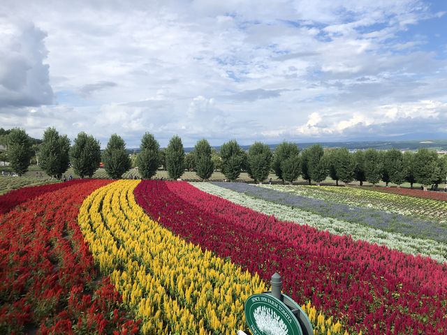 �t�@�[���x�c_�D�y�ʉ^�N���u�Q�b�c