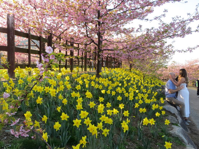 �C�C�ꃉ�C�_�[����̏�R���j�����̓��e�ʐ^7