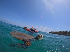 _~[CHURA{Óւ̓eʐ^1