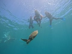 _~[CHURA{Óւ̓eʐ^2