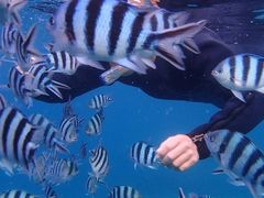 䂤Ȃ̃R[gbv@CGX^ւ̓eʐ^1