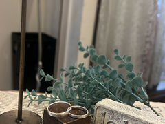 ݂䂳̑Vo[Ǒ rWIyւ̓eʐ^1