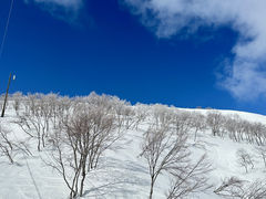 nR[̃beAC][gւ̓eʐ^6