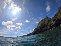 ɂ܂̃_Cu (MalDive)ւ̓eʐ^1