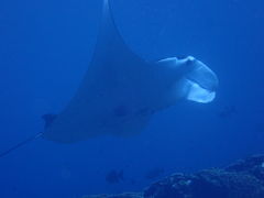 ̂܂邳̃_CrOVbvKUKURUւ̓eʐ^2