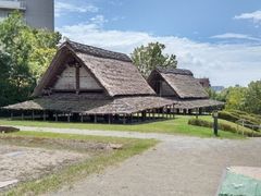 񂳂̎jՐVrnjHւ̓eʐ^1