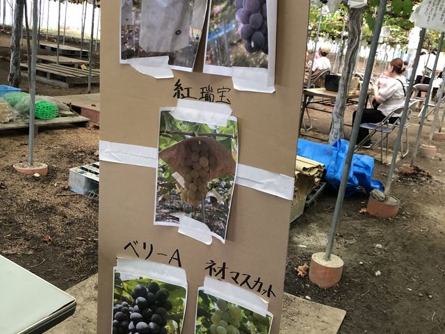 �s��������4��ނł���_�����_��(�����s�ό��Ԃǂ��Z���^�[�����x��)