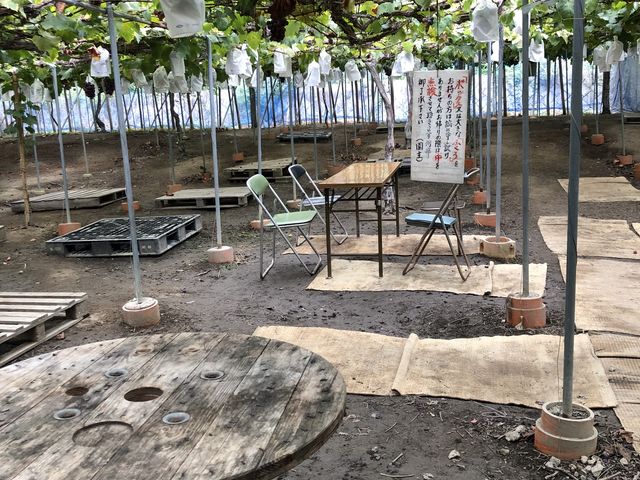 �֎q�ƃe�[�u�����L��y����ł����B
_�����_��(�����s�ό��Ԃǂ��Z���^�[�����x��)