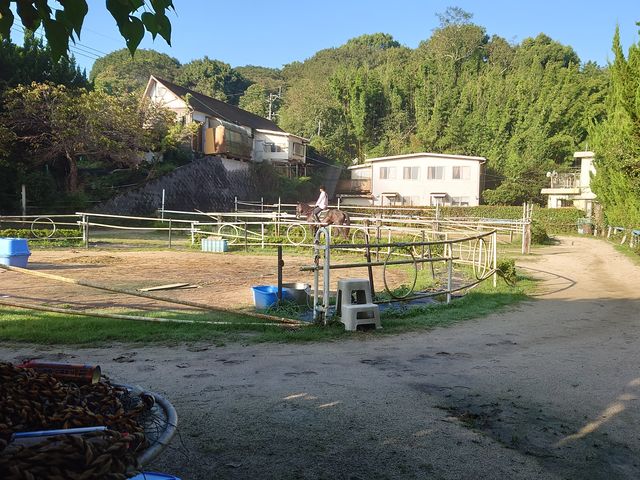 ՂȎR̒ɗKnꂪL܂B
iʐ^̔Αɔn[AɓĂn`܂j_KRCnZ^[