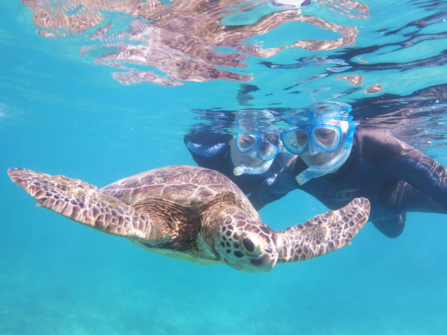 ����ȋ߂��܂ł���ė��Ă���܂�
_�A�}�~�G���V�X