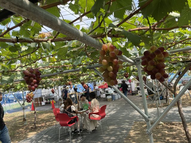 �����`���H�X�y�[�X�B_���� KURANSA