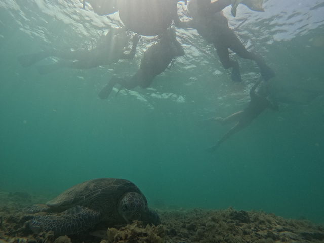 �E�~�K���ɂ���܂����I_OCEANZ - �I�[�V�����Y