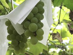 Ƃт̂̏hόʎւ̓eʐ^1