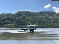 Ƃ񂳂̐\Jk[cA[̂тՂՂûՂvւ̓eʐ^1